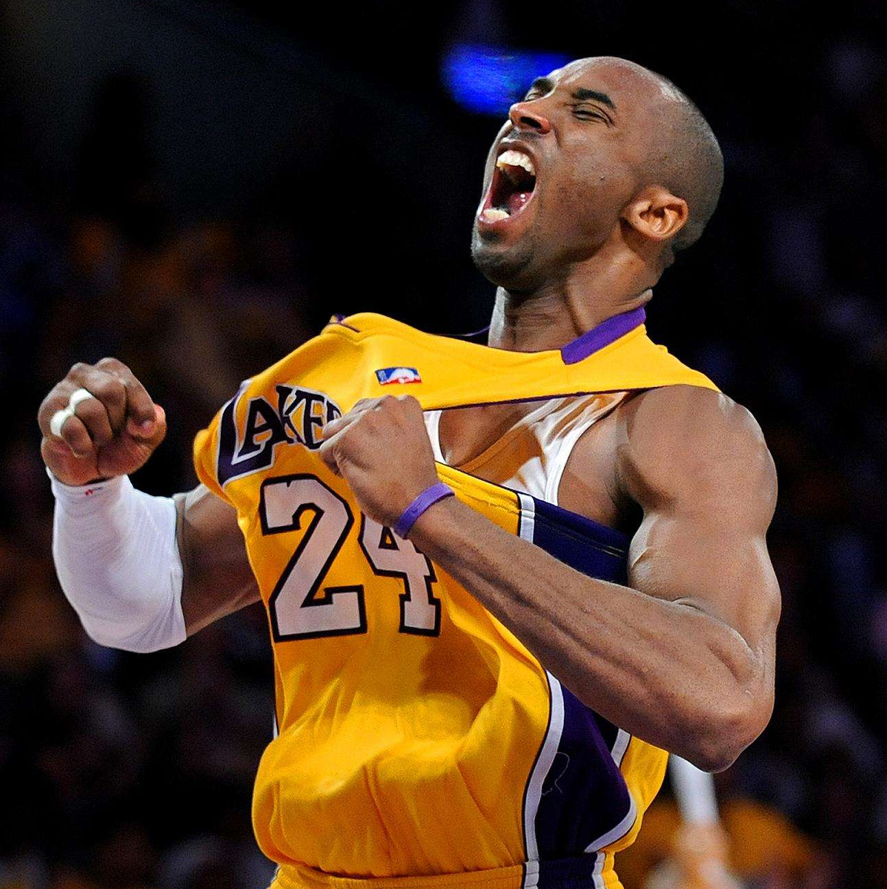 连续两年蝉 连续两年蝉